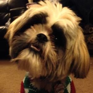 Meet your Posher, Brian